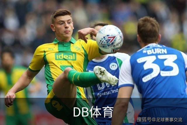 DB体育企业介绍图
